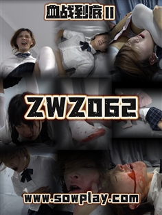【SowPlay】Z062-vv VS ll