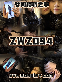 【SowPlay】Z094-fuyao VS mini