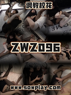 【SowPlay】Z096-mini VS lizhi VS fuyao
