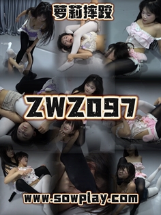 【SowPlay】Z097-fuyao VS mini