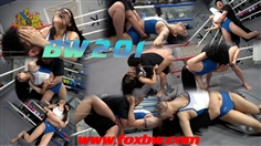 【FoxBW】BW—201